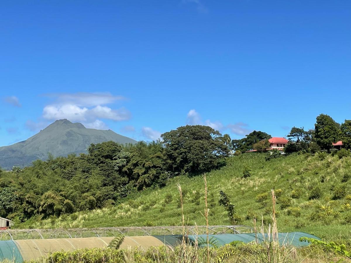 Chambre Et Sdb Privative Ylang Ylang Vue Mont Pelee Dans Maison Partagee Le Morne-Rouge 外观 照片