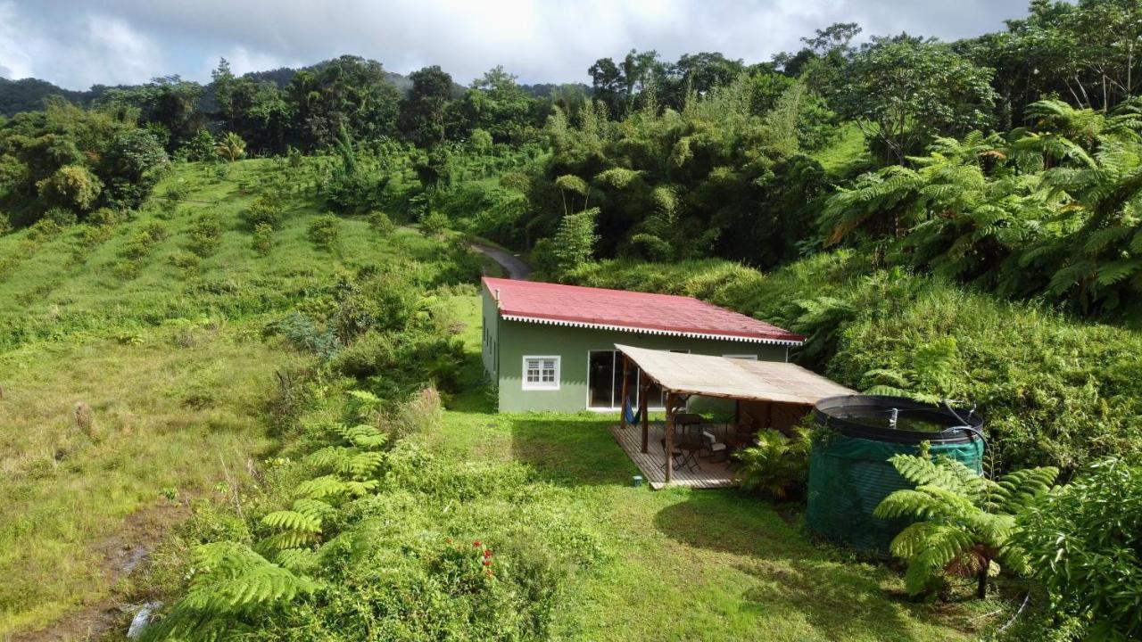 Chambre Et Sdb Privative Ylang Ylang Vue Mont Pelee Dans Maison Partagee Le Morne-Rouge 外观 照片